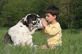ENFANT ET CHIEN 543